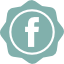 facebook-social-badge